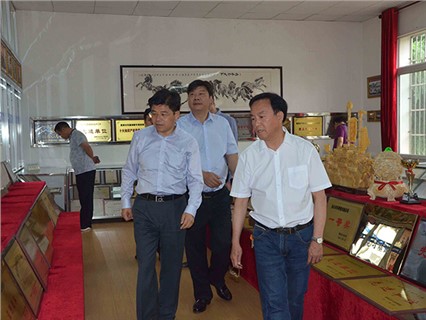 湘潭市委常委、市委政法委書記戴德清一行蒞臨【湘潭恒欣】